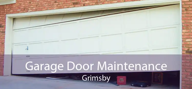 Garage Door Maintenance Grimsby