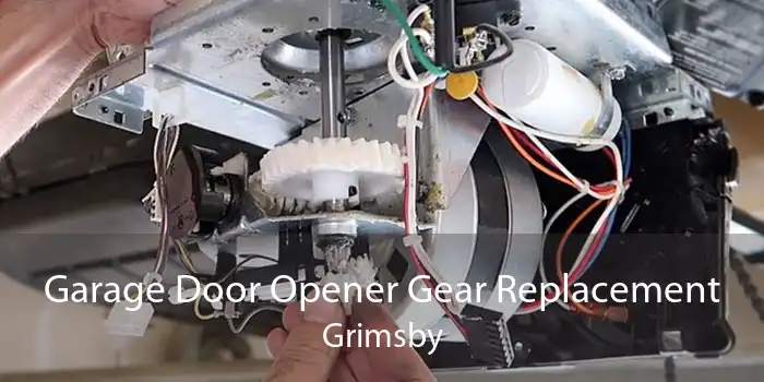 Garage Door Opener Gear Replacement Grimsby