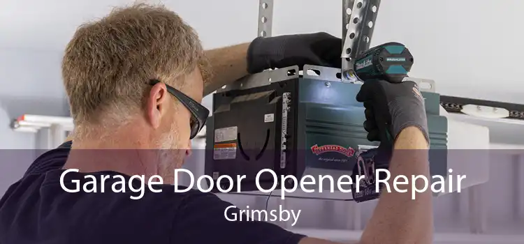 Garage Door Opener Repair Grimsby