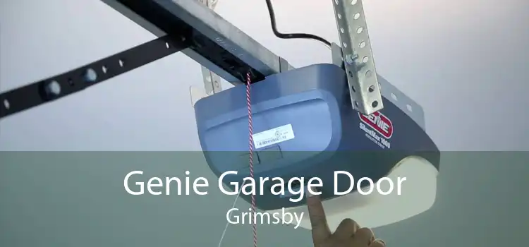 Genie Garage Door Grimsby