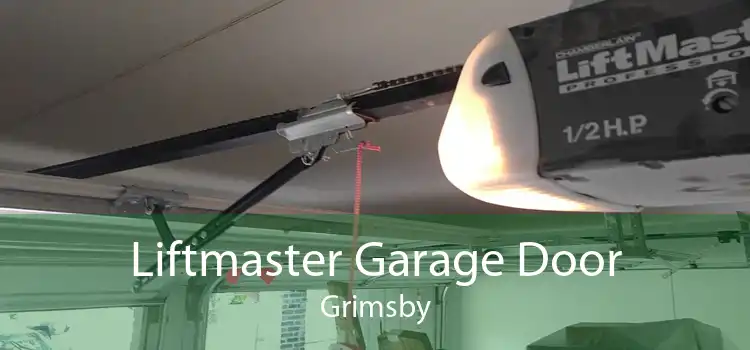 Liftmaster Garage Door Grimsby